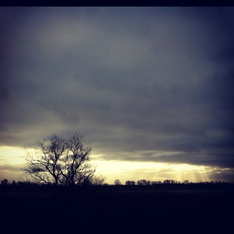 20120106-003557.jpg
