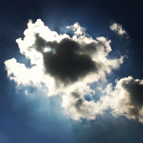 20120326-084429.jpg