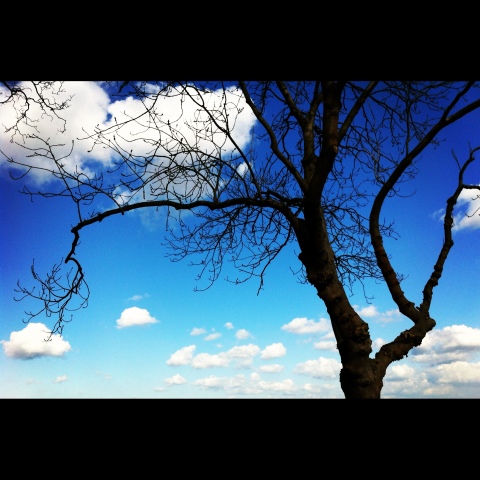 20120326-084505.jpg